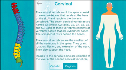 Emulate iPhone app Mitchell Chiropractic using MyAndroid Emulate iPhone app Mitchell Chiropractic using MyAndroid