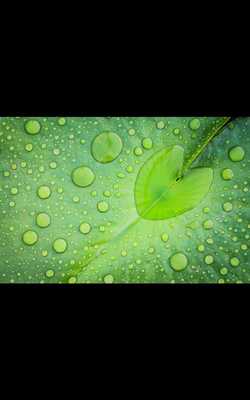 Emulate Android APK MiUI Rain Drops live wallpaper Emulate Android APK MiUI Rain Drops live wallpaper
