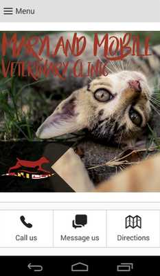 Emulate Android APK MMVC