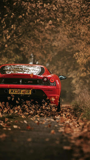 Run android online APK mobile 4K wallpaper from MyAndroid or emulate mobile 4K wallpaper using MyAndroid