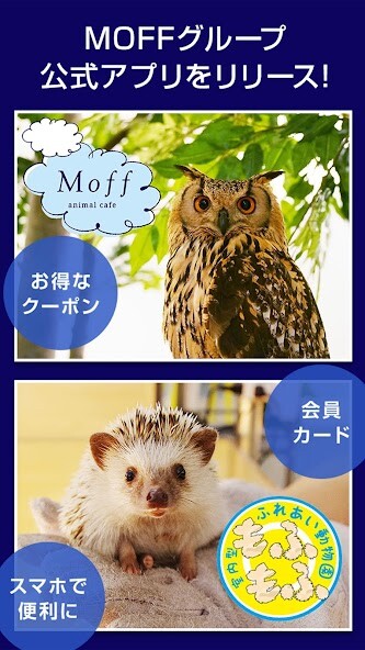 Run android online APK MOFF公式アプリ from MyAndroid or emulate MOFF公式アプリ using MyAndroid Run android online APK MOFF公式アプリ from MyAndroid or emulate MOFF公式アプリ using MyAndroid