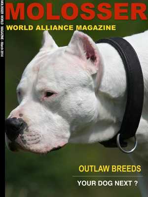 Emulate Android APK MolosserWorldAllianceMagazine