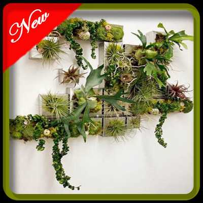 Emulate Android APK money plant decoration ideas Emulate Android APK money plant decoration ideas
