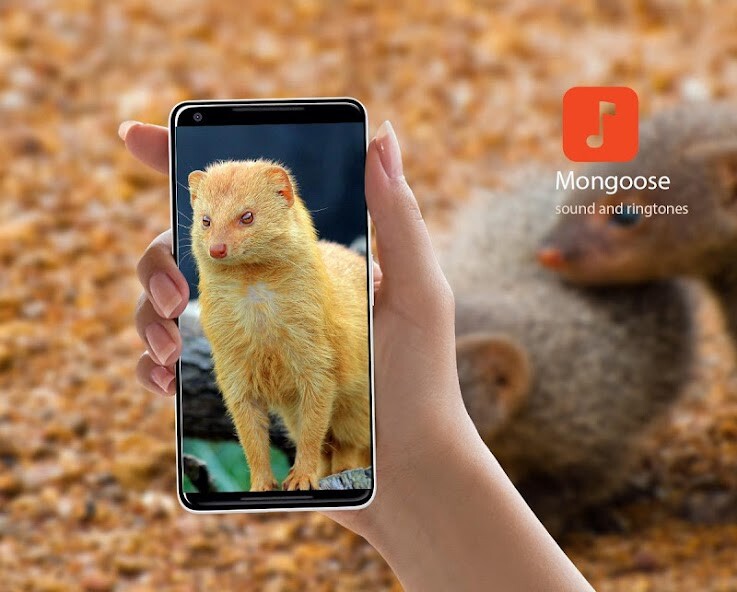 Run android online APK Mongoose Calls from MyAndroid or emulate Mongoose Calls using MyAndroid
