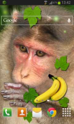 Emulate Android APK Monkey Live Wallpaper