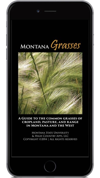 Run android online APK Montana Grasses from MyAndroid or emulate Montana Grasses using MyAndroid Run android online APK Montana Grasses from MyAndroid or emulate Montana Grasses using MyAndroid