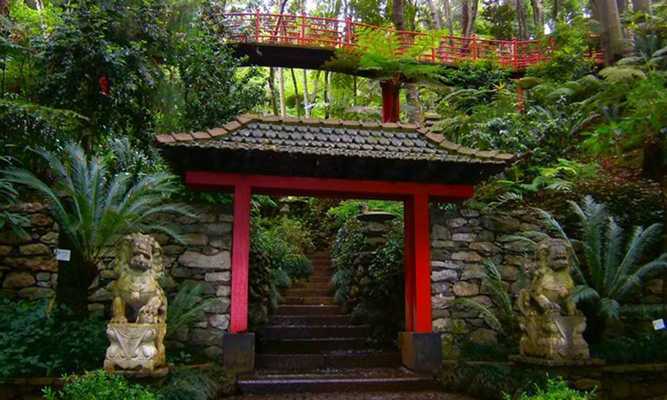Emulate Android APK Monte Tropical Garden Escape Emulate Android APK Monte Tropical Garden Escape