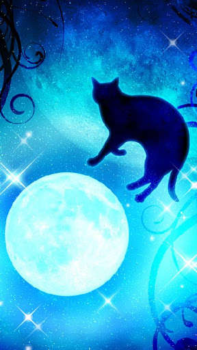 Emulate Android APK MoonBlackcat Kirakira(FREE) Emulate Android APK MoonBlackcat Kirakira(FREE)