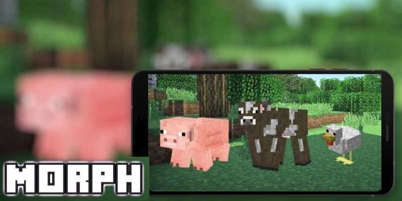 Emulate Android APK Morph Pro Mod For PE