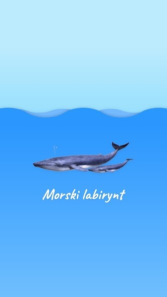 Run android online APK Morski Labirynt AR from MyAndroid or emulate Morski Labirynt AR using MyAndroid