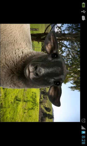 Run android online APK Morvern Valley had a farm from MyAndroid or emulate Morvern Valley had a farm using MyAndroid