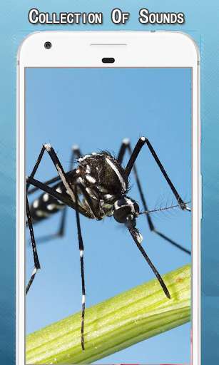 Run android online APK Mosquito Sounds Ringtone from MyAndroid or emulate Mosquito Sounds Ringtone using MyAndroid Run android online APK Mosquito Sounds Ringtone from MyAndroid or emulate Mosquito Sounds Ringtone using MyAndroid