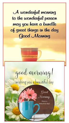 Run android online APK Motivational Quotes Images from MyAndroid or emulate Motivational Quotes Images using MyAndroid