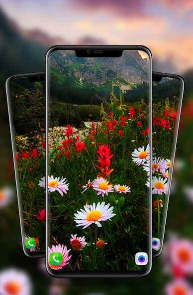 Run android online APK Mountain Flowers live wallpaper from MyAndroid or emulate Mountain Flowers live wallpaper using MyAndroid
