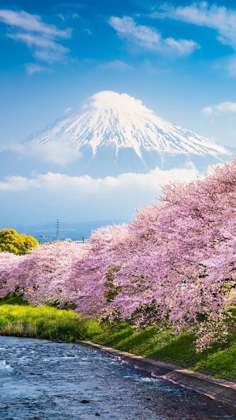Emulate Android APK Mount Fuji Wallpapers Emulate Android APK Mount Fuji Wallpapers