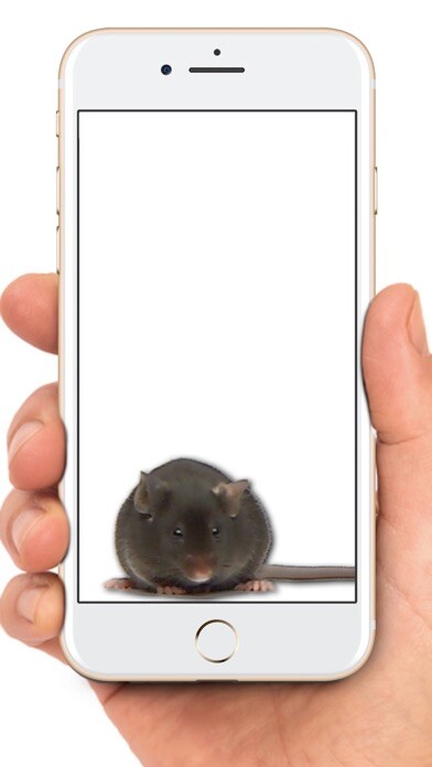 Emulate iPhone app Mouse on Screen Scary Joke using MyAndroid Emulate iPhone app Mouse on Screen Scary Joke using MyAndroid