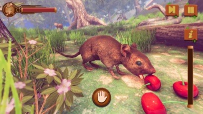 Emulate iPhone app Mouse Simulator- Family Life using MyAndroid Emulate iPhone app Mouse Simulator- Family Life using MyAndroid