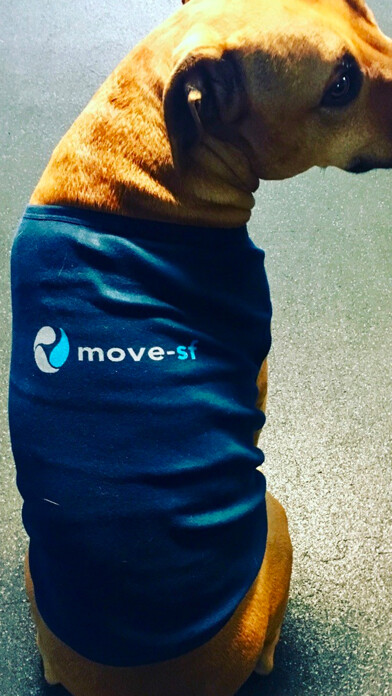 Emulate iPhone app move-sf using MyAndroid Emulate iPhone app move-sf using MyAndroid