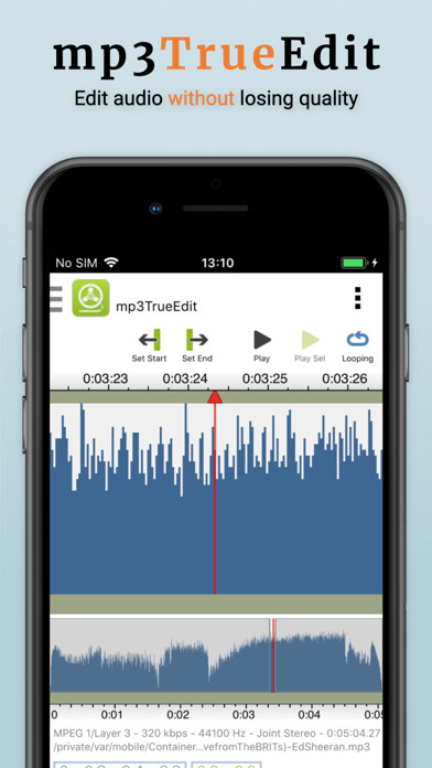 Emulate iPhone app mp3TrueEdit touch using MyAndroid Emulate iPhone app mp3TrueEdit touch using MyAndroid
