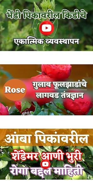 Run android online APK Mrugdhara Krishi App from MyAndroid or emulate Mrugdhara Krishi App using MyAndroid Run android online APK Mrugdhara Krishi App from MyAndroid or emulate Mrugdhara Krishi App using MyAndroid