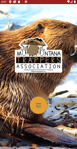Run android online APK MTrappers from MyAndroid or emulate MTrappers using MyAndroid