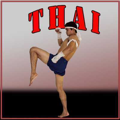 Emulate Android APK MUAY THAI TRAINING EXERCISES Emulate Android APK MUAY THAI TRAINING EXERCISES
