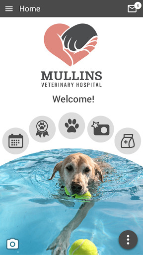 Run android online APK Mullins Veterinary Hospital from MyAndroid or emulate Mullins Veterinary Hospital using MyAndroid Run android online APK Mullins Veterinary Hospital from MyAndroid or emulate Mullins Veterinary Hospital using MyAndroid
