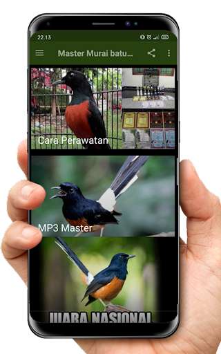 Run android online APK Murai Batu Master Top Juara from MyAndroid or emulate Murai Batu Master Top Juara using MyAndroid Run android online APK Murai Batu Master Top Juara from MyAndroid or emulate Murai Batu Master Top Juara using MyAndroid