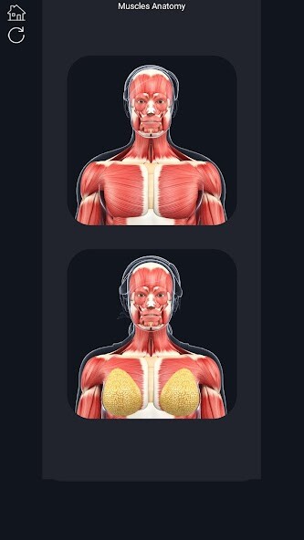 Run android online APK Muscle Anatomy Pro. from MyAndroid or emulate Muscle Anatomy Pro. using MyAndroid Run android online APK Muscle Anatomy Pro. from MyAndroid or emulate Muscle Anatomy Pro. using MyAndroid