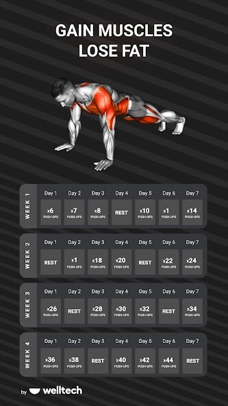 Run android online APK Muscle Booster Workout Planner from MyAndroid or emulate Muscle Booster Workout Planner using MyAndroid Run android online APK Muscle Booster Workout Planner from MyAndroid or emulate Muscle Booster Workout Planner using MyAndroid