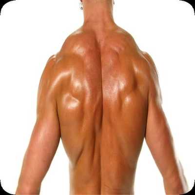 Emulate Android APK Muscle Building Emulate Android APK Muscle Building