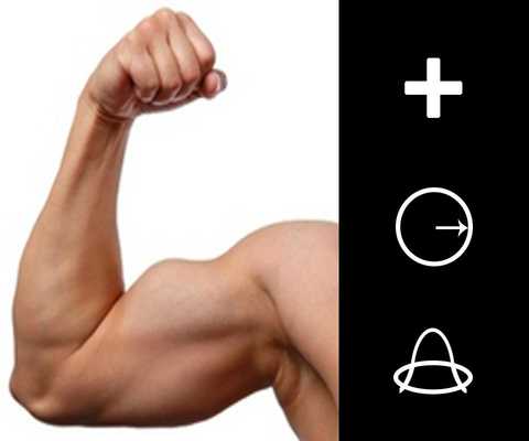 Emulate Android APK Muscle Editor - Bodybuilding