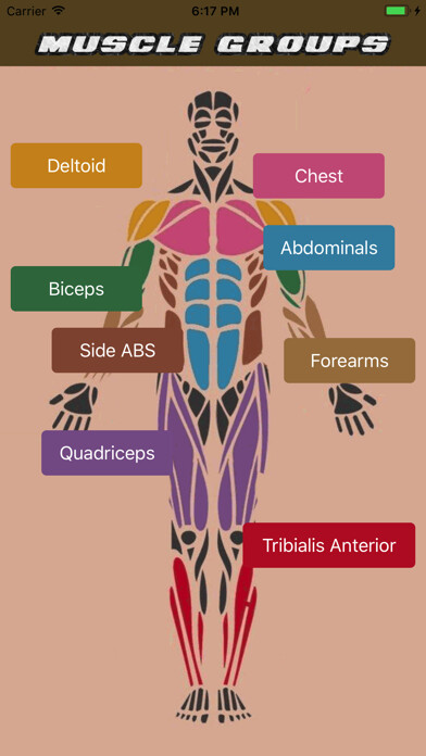 Emulate iPhone app Muscle Group Workout using MyAndroid Emulate iPhone app Muscle Group Workout using MyAndroid