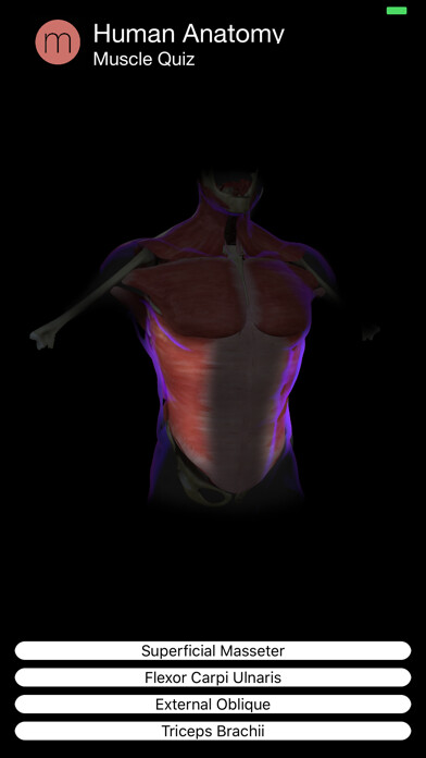 Emulate iPhone app Muscle Quiz using MyAndroid Emulate iPhone app Muscle Quiz using MyAndroid