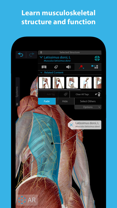Emulate iPhone app Muscles & Kinesiology using MyAndroid Emulate iPhone app Muscles & Kinesiology using MyAndroid