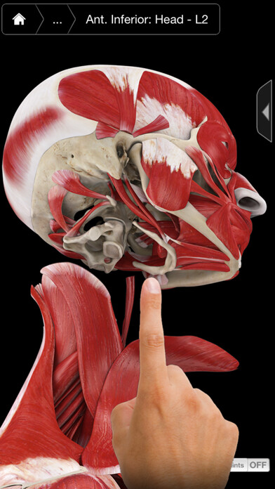 Emulate iPhone app Muscle System Pro III - iPhone using MyAndroid Emulate iPhone app Muscle System Pro III - iPhone using MyAndroid