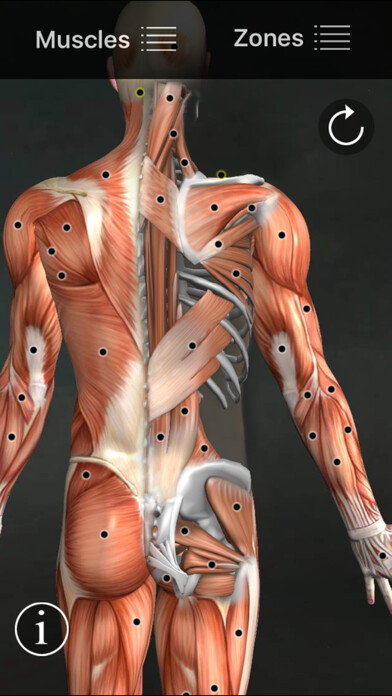 Emulate iPhone app Muscle Trigger Points using MyAndroid Emulate iPhone app Muscle Trigger Points using MyAndroid