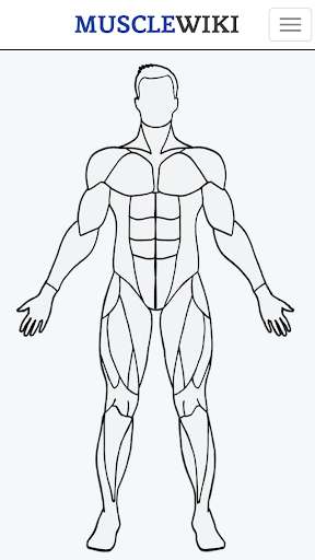Emulate Android APK MuscleWiki Fitness Emulate Android APK MuscleWiki Fitness