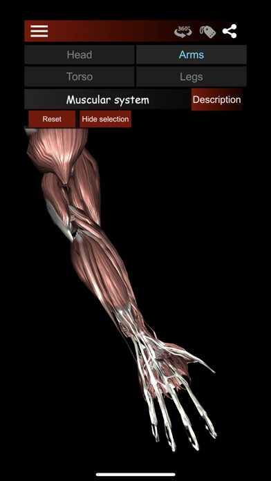 Emulate iPhone app Muscular System 3D (anatomy) using MyAndroid