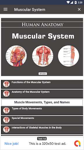 Run android online APK MUSCULAR SYSTEM from MyAndroid or emulate MUSCULAR SYSTEM using MyAndroid Run android online APK MUSCULAR SYSTEM from MyAndroid or emulate MUSCULAR SYSTEM using MyAndroid