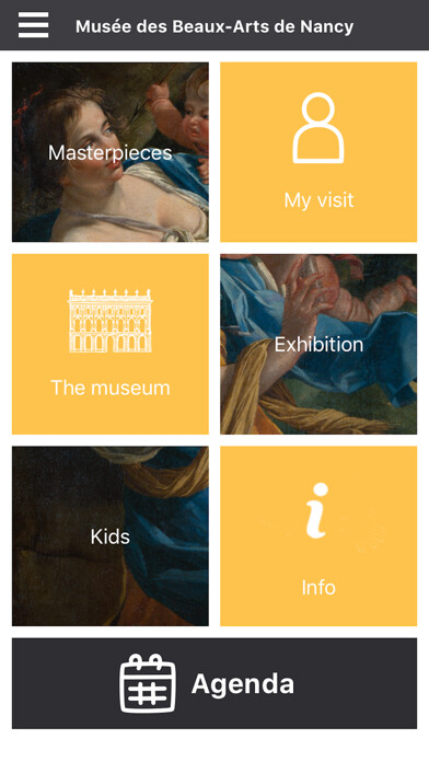 Emulate iPhone app Musée des Beaux-Arts, Nancy using MyAndroid