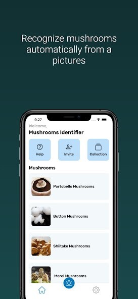 Run android online APK Mushroom Identifier from MyAndroid or emulate Mushroom Identifier using MyAndroid Run android online APK Mushroom Identifier from MyAndroid or emulate Mushroom Identifier using MyAndroid