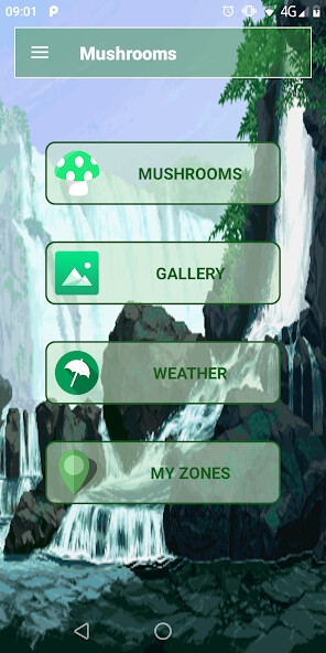Run android online APK Mushrooms Guide from MyAndroid or emulate Mushrooms Guide using MyAndroid Run android online APK Mushrooms Guide from MyAndroid or emulate Mushrooms Guide using MyAndroid