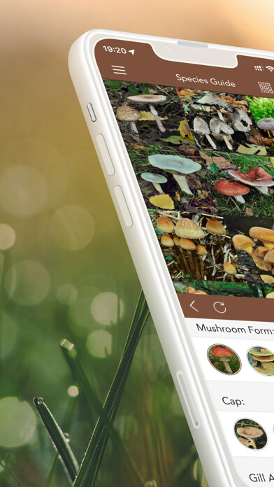 Emulate iPhone app Mushrooms PRO - Hunting Safe using MyAndroid Emulate iPhone app Mushrooms PRO - Hunting Safe using MyAndroid