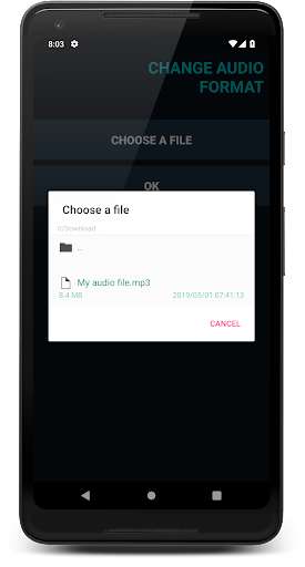 Emulate Music Converter: Change Audio Format from MyAndroid or run Music Converter: Change Audio Format using MyAndroid