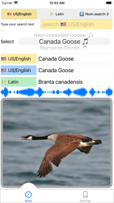 Emulate iPhone app My_Birds using MyAndroid