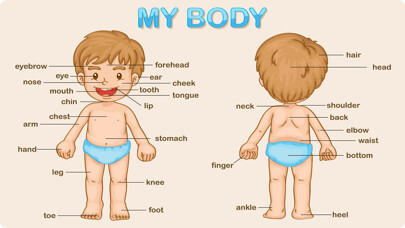Emulate iPhone app My Body Parts - Baby Learning English Flash Cards using MyAndroid Emulate iPhone app My Body Parts - Baby Learning English Flash Cards using MyAndroid