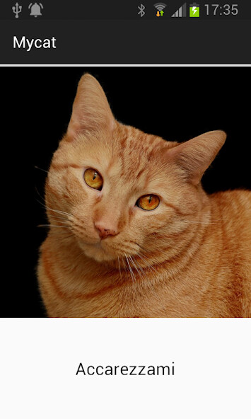 Run android online APK My cat from MyAndroid or emulate My cat using MyAndroid Run android online APK My cat from MyAndroid or emulate My cat using MyAndroid