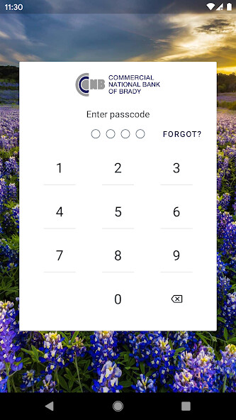 Run android online APK My CNB Brady App from MyAndroid or emulate My CNB Brady App using MyAndroid
