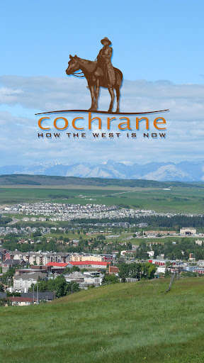 Emulate Android APK My Cochrane